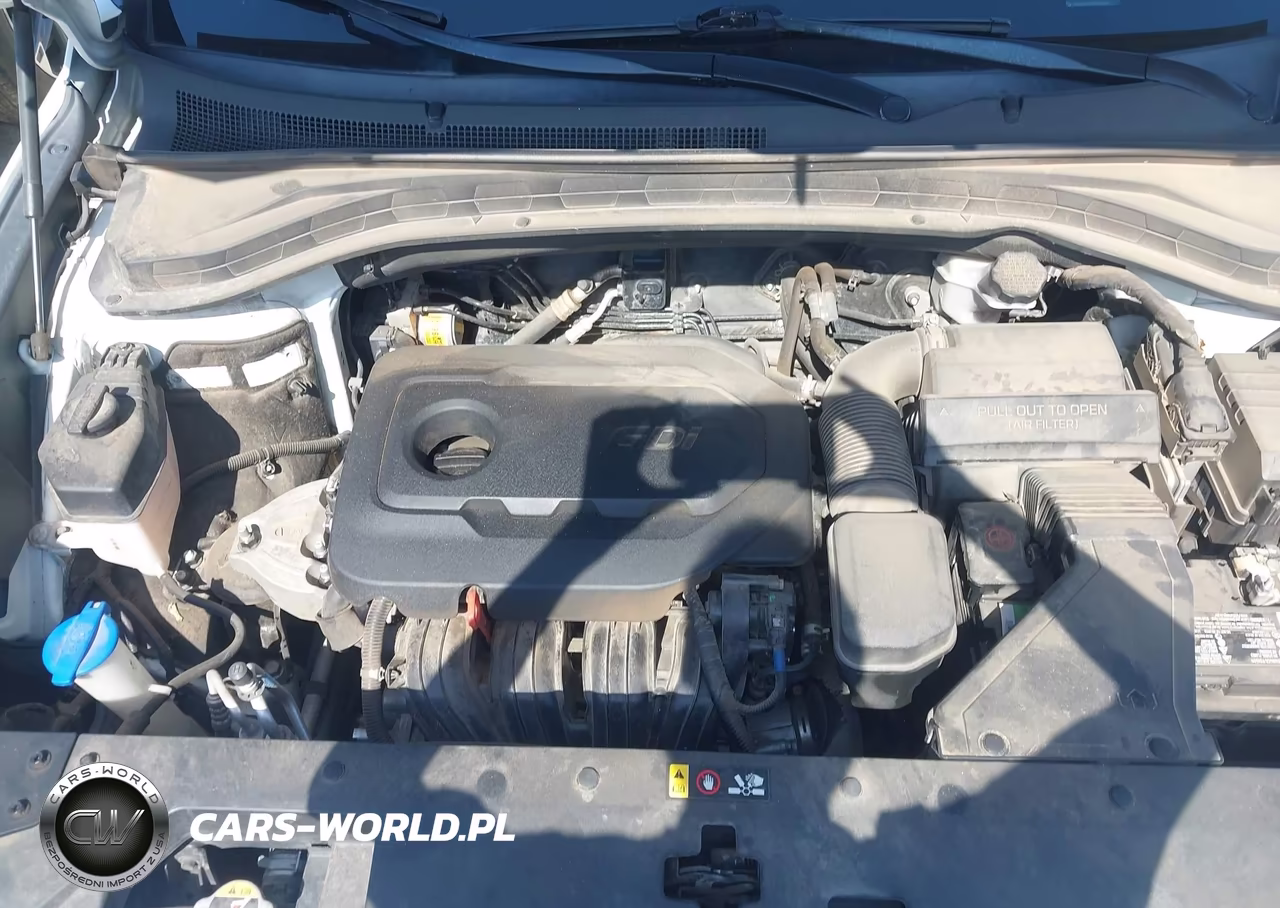 2019 Hyundai Santa Fe Se VIN:5NMS23AD9KH135521 - 10