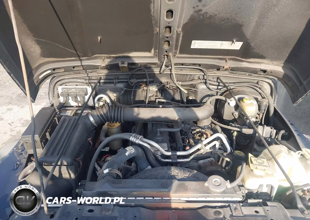 2003 Jeep Wrangler Sport VIN:1J4FA49S43P320852 - 10