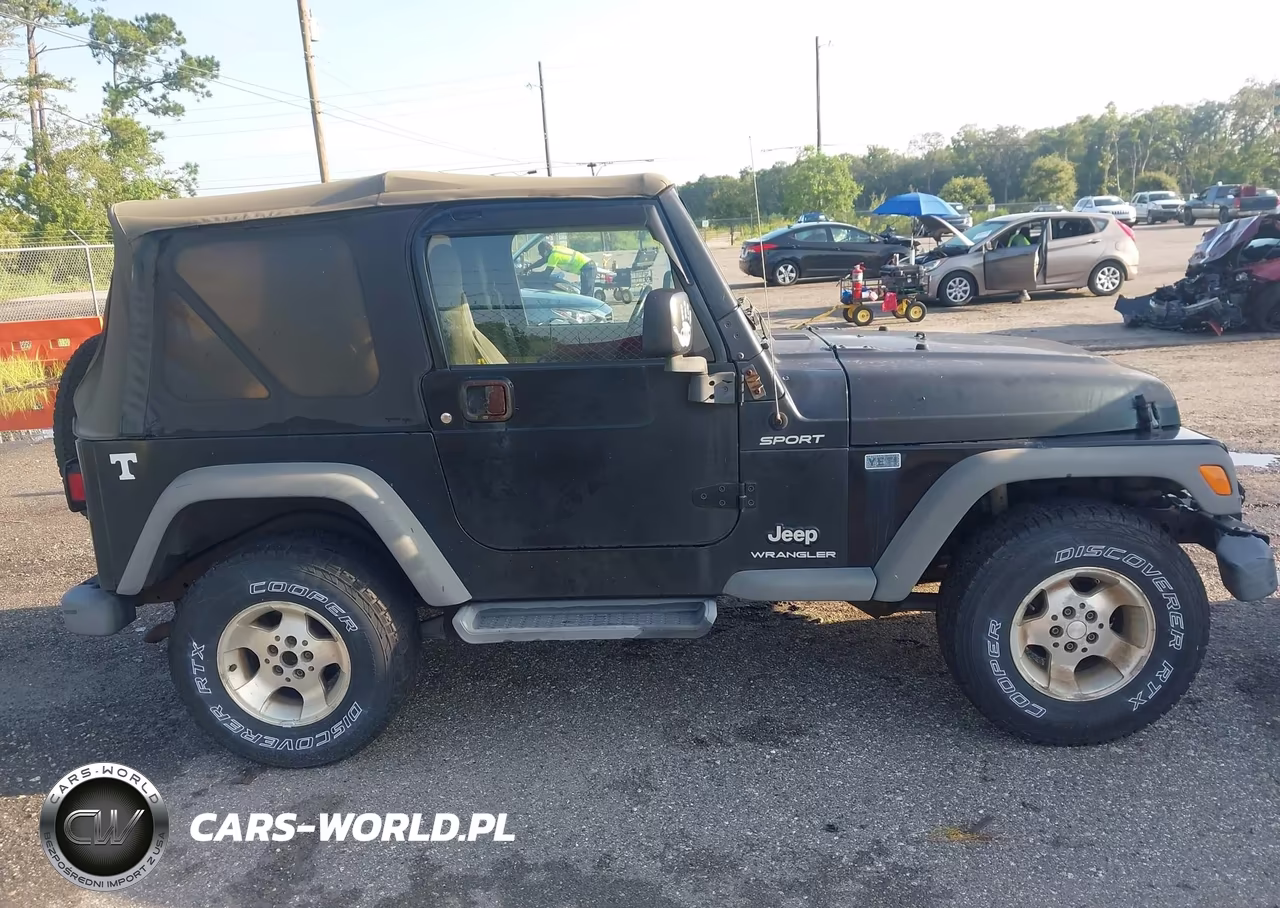 2003 Jeep Wrangler Sport VIN:1J4FA49S43P320852 - 13