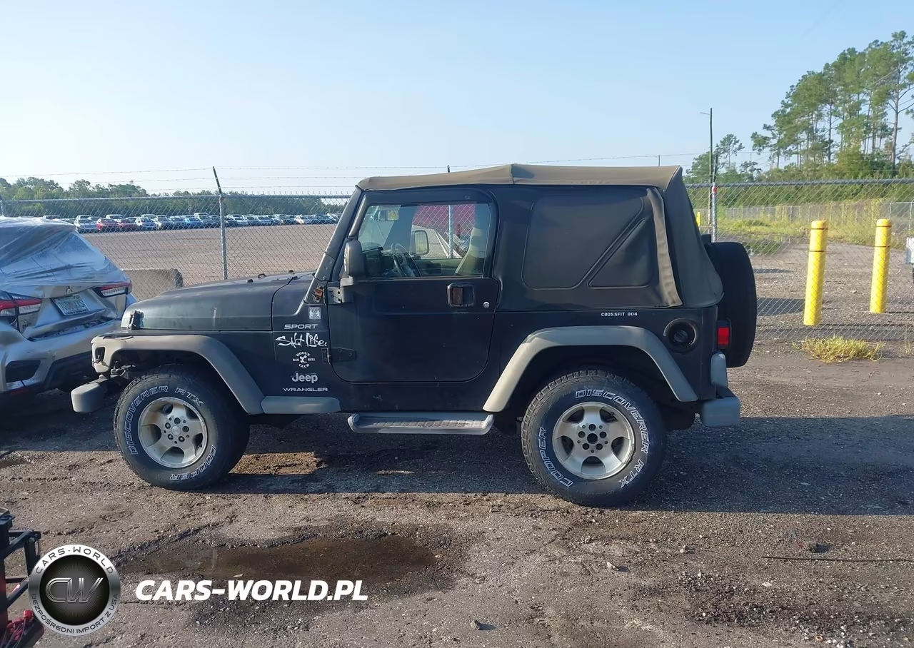 2003 Jeep Wrangler Sport VIN:1J4FA49S43P320852 - 14
