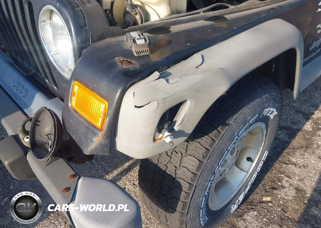 2003 Jeep Wrangler Sport VIN:1J4FA49S43P320852 - 6