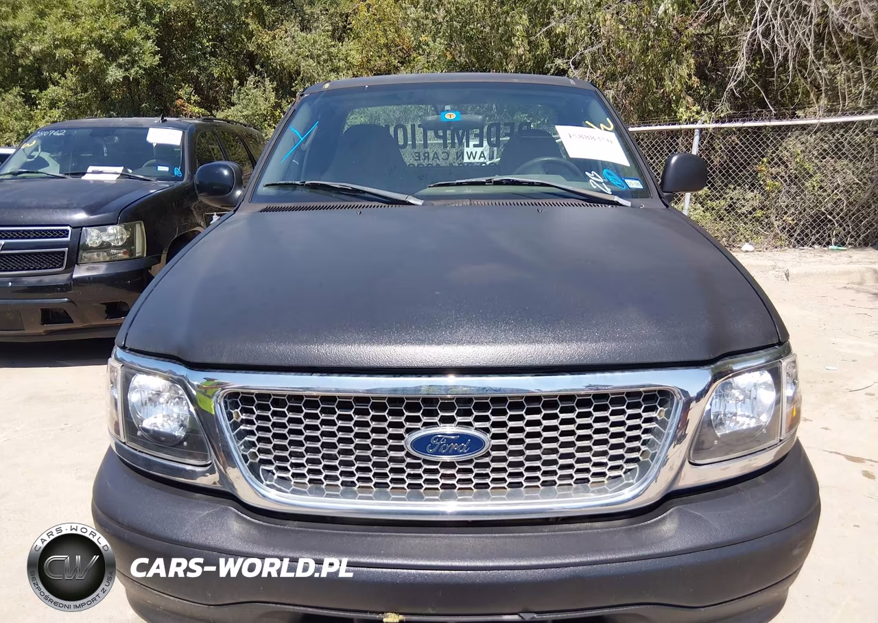 2004 Ford F-150 Heritage Xl-Xlt VIN:2FTRF17284CA69245 - 12