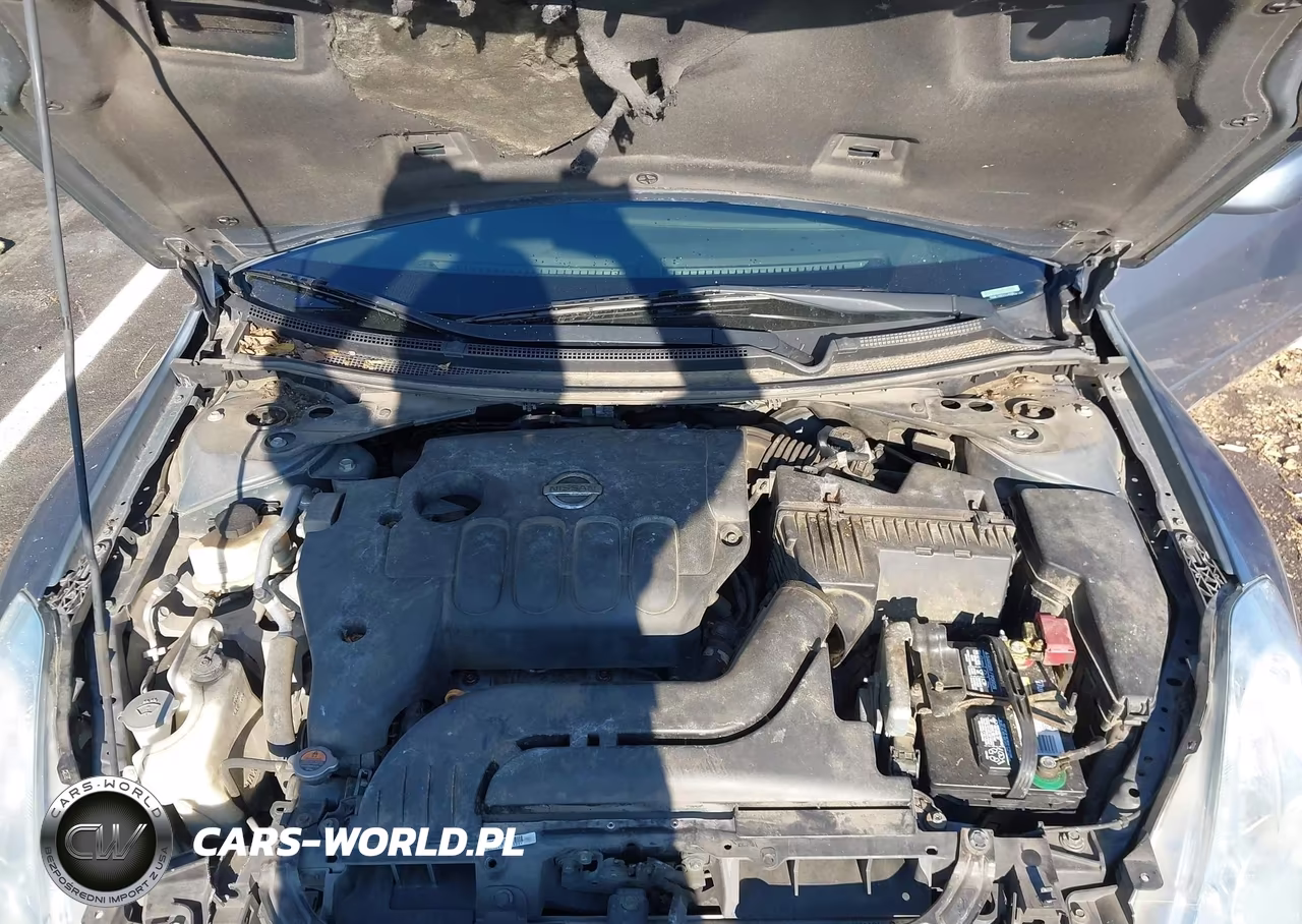2010 Nissan Altima 2.5 S VIN:1N4AL2AP3AC142089 - 10
