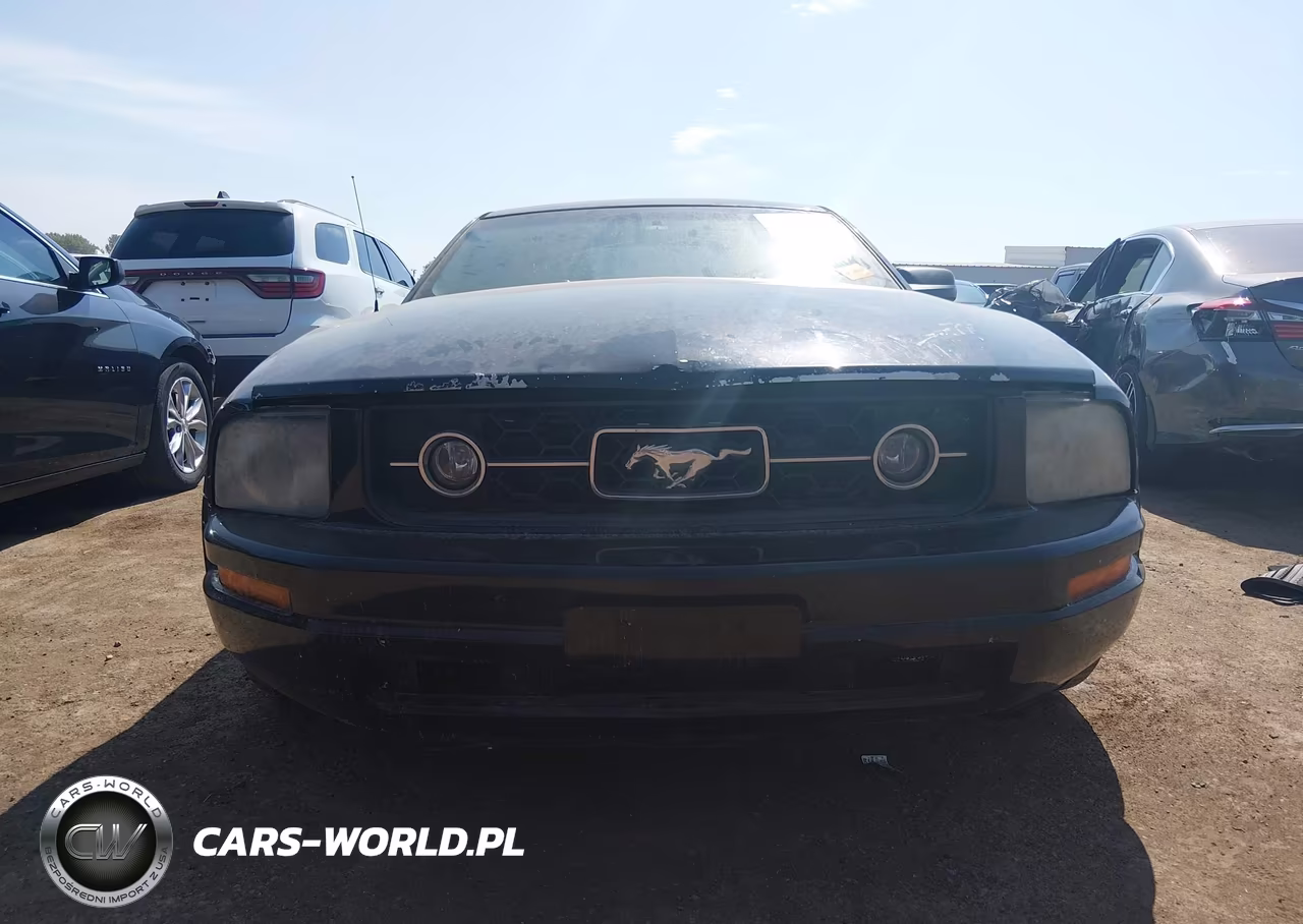 2006 Ford Mustang V6 VIN:1ZVHT80N865151097 - 12