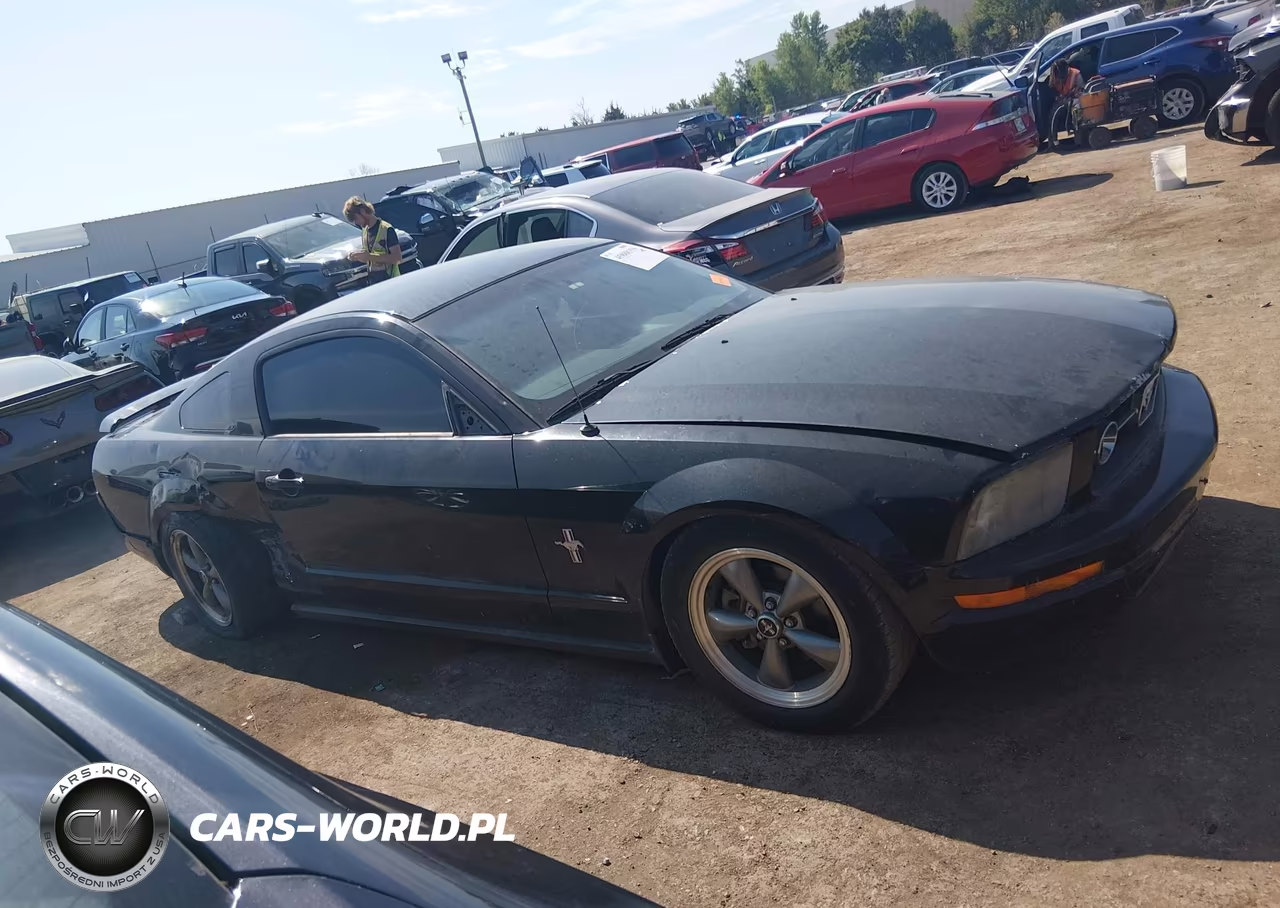 2006 Ford Mustang V6 VIN:1ZVHT80N865151097 - 13