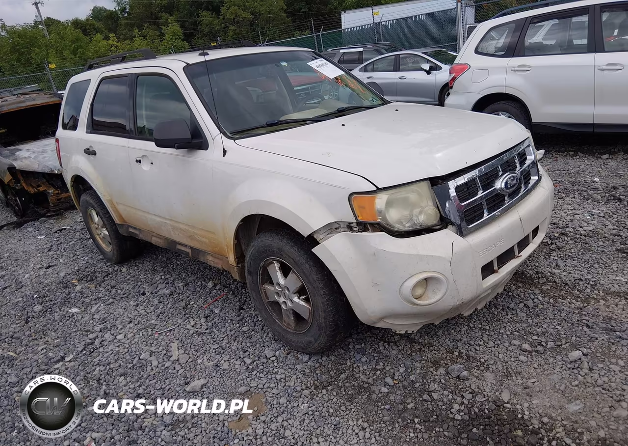 2010 Ford Escape Xlt