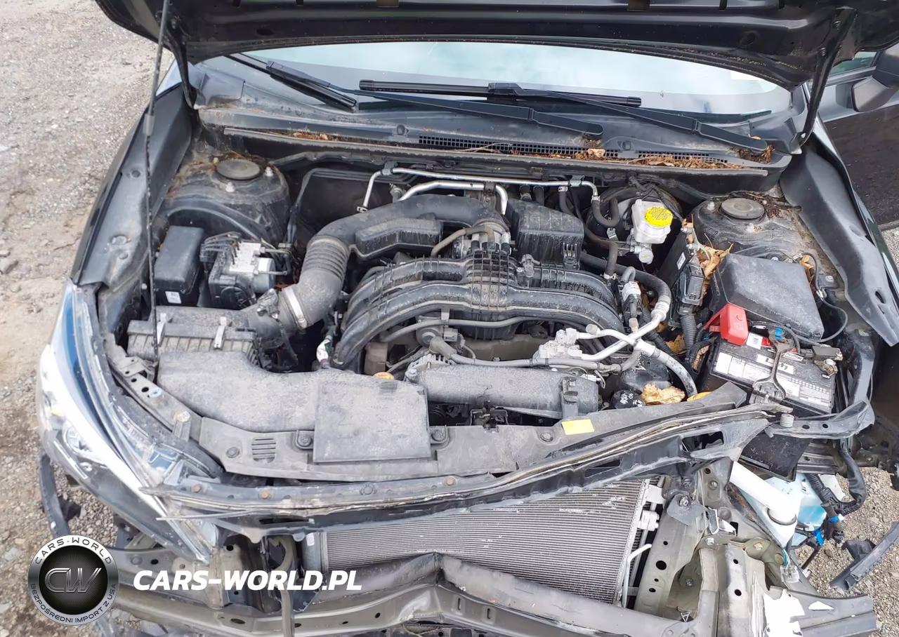 2019 Subaru Impreza 2.0I VIN:4S3GTAA60K3748666 - 10