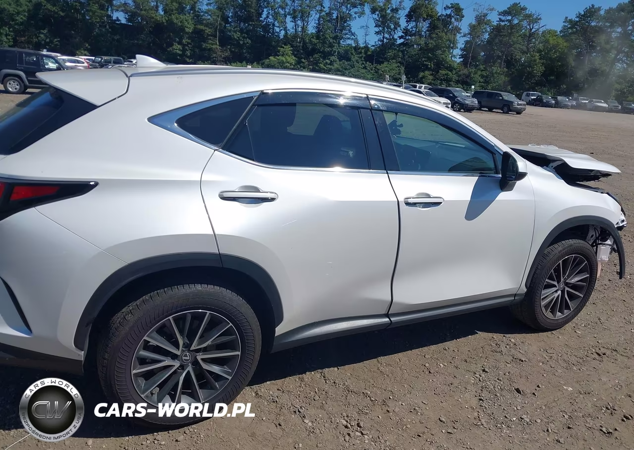 2025 Lexus Nx 350 Premium VIN:2T2GGCEZ5SC093217 - 13