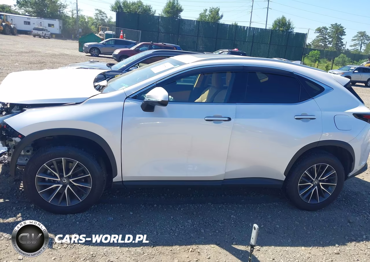2025 Lexus Nx 350 Premium VIN:2T2GGCEZ5SC093217 - 14