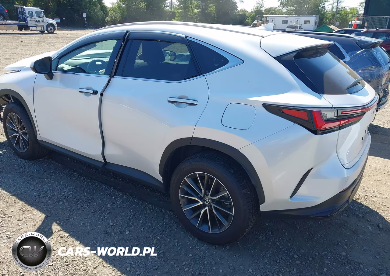 2025 Lexus Nx 350 Premium VIN:2T2GGCEZ5SC093217 - 3