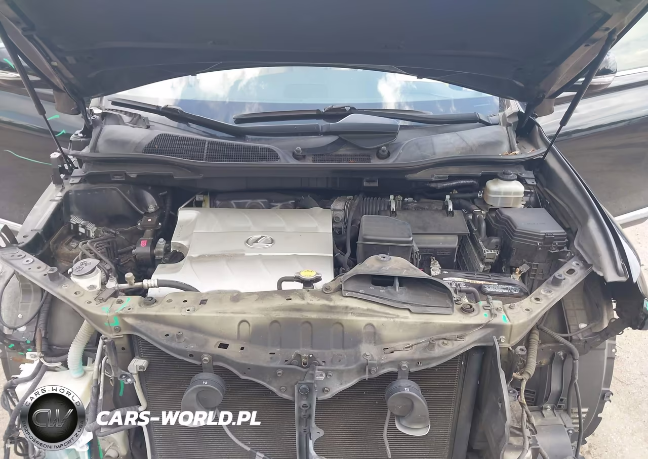 2010 Lexus Rx 350 VIN:JTJZK1BA3A2410856 - 10
