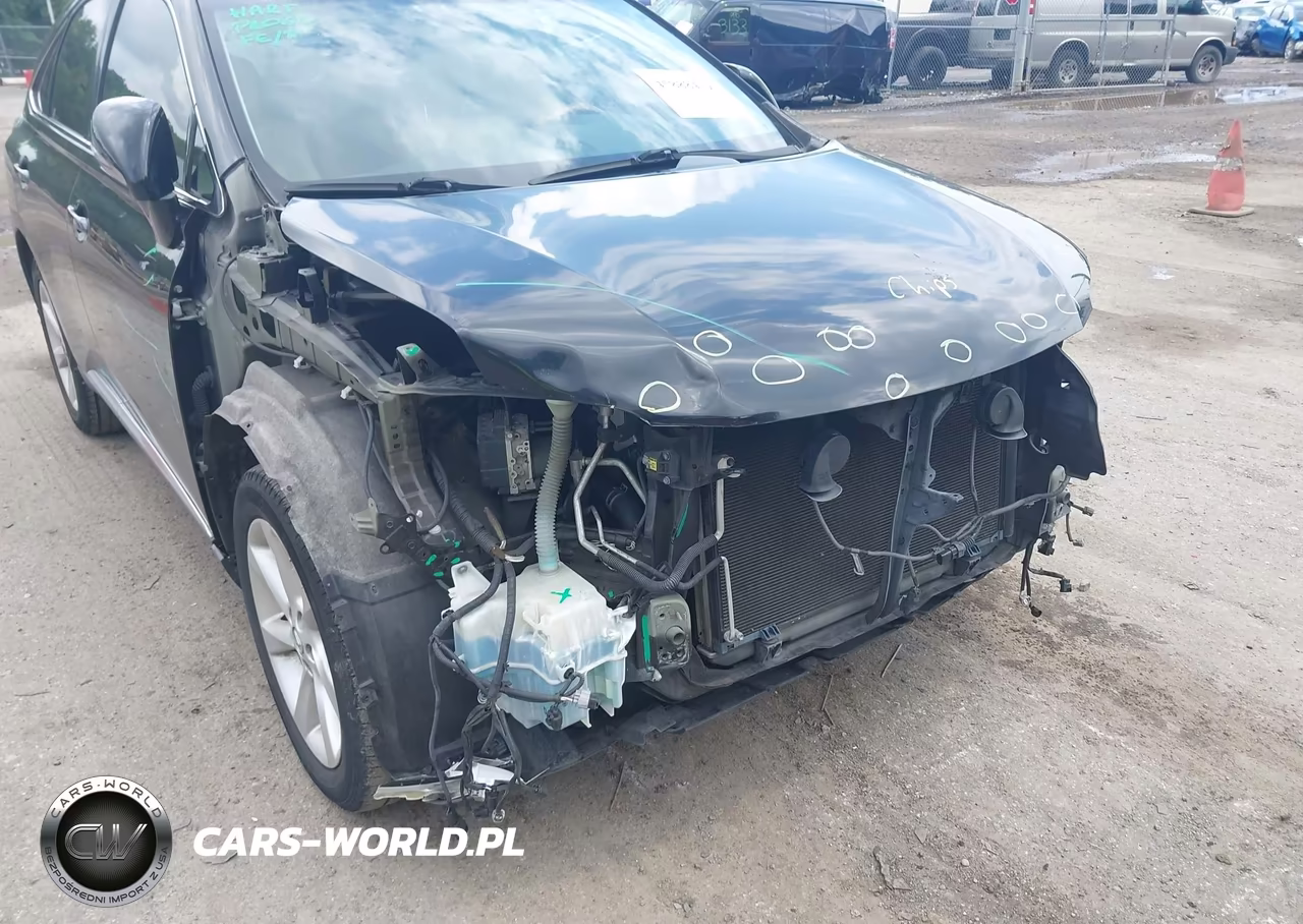2010 Lexus Rx 350 VIN:JTJZK1BA3A2410856 - 6