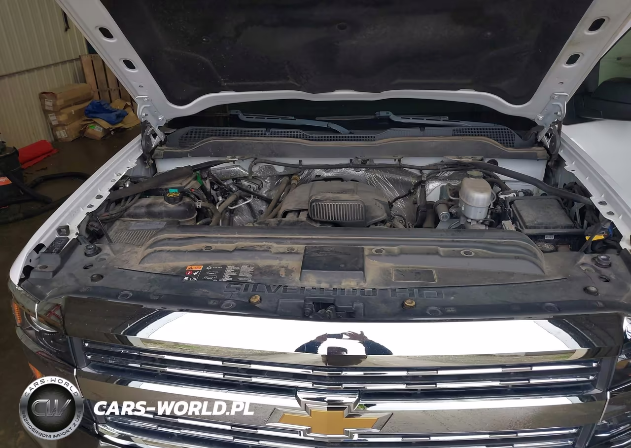2018 Chevrolet Silverado 2500Hd Wt VIN:1GC1KUEG2JF260474 - 10