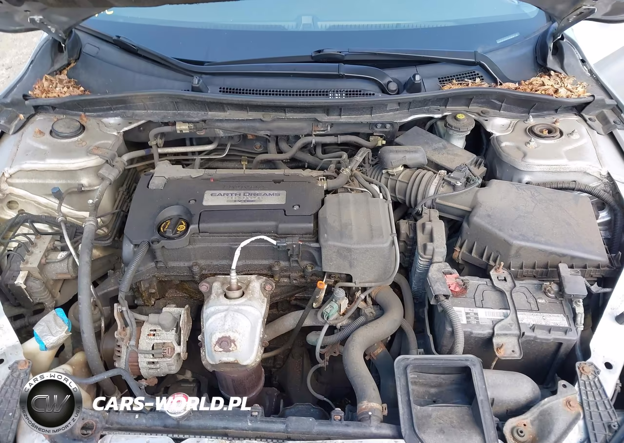 2014 Honda Accord Lx VIN:1HGCR2F30EA092469 - 10