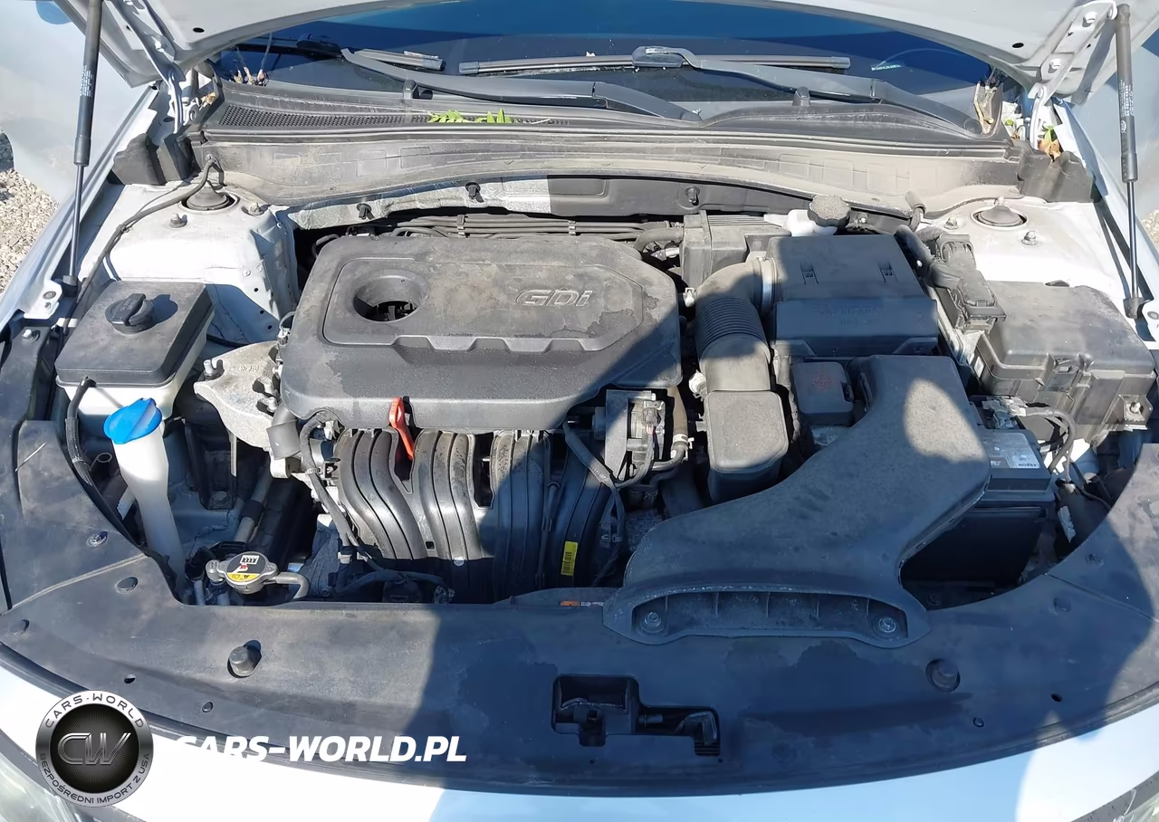 2020 Kia Optima Lx VIN:5XXGT4L39LG396709 - 10