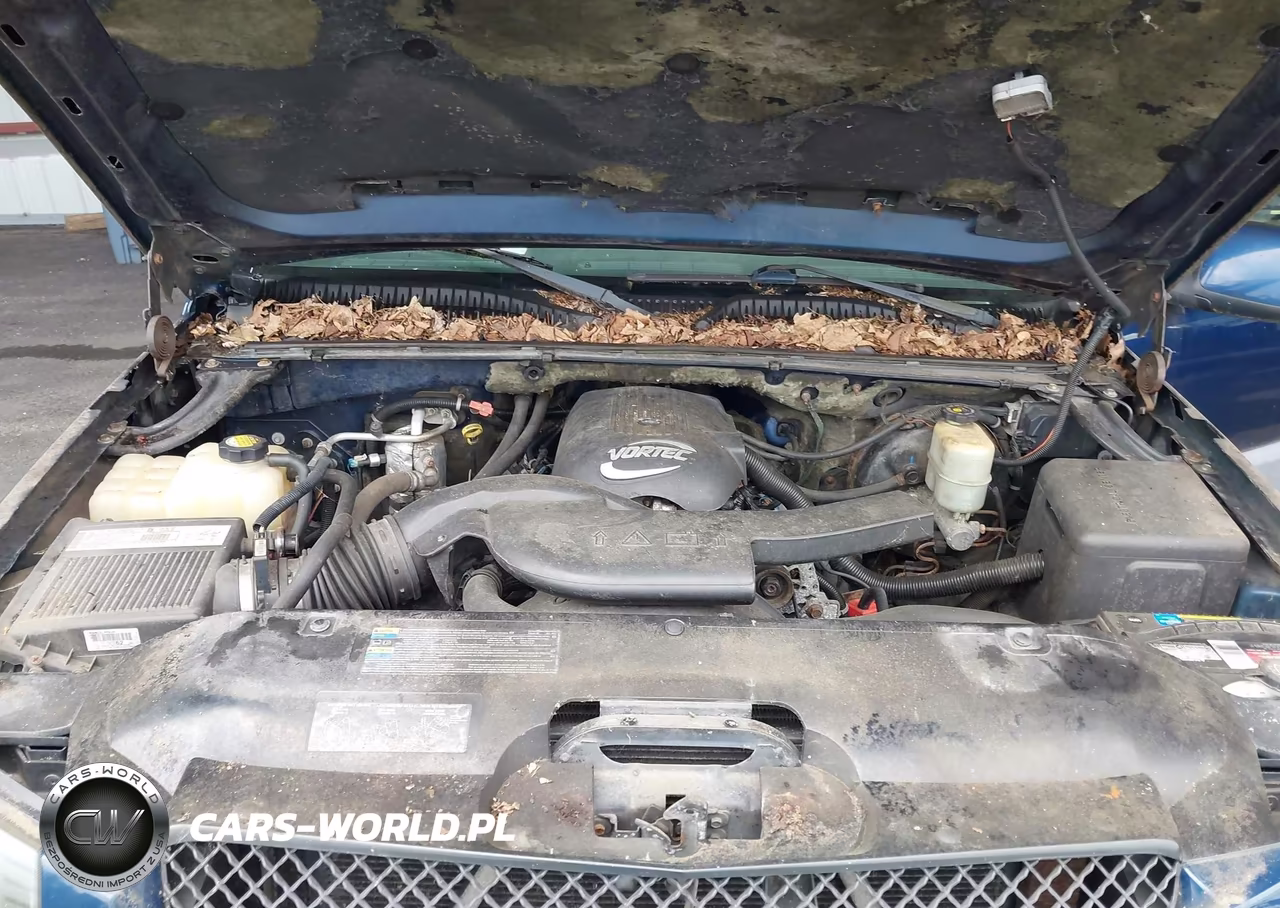 2002 Chevrolet Avalanche 1500 VIN:3GNEK13T82G117004 - 10