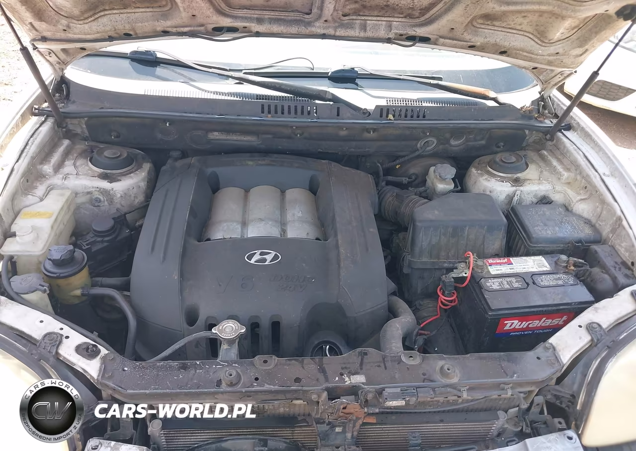 2005 Hyundai Santa Fe Gls VIN:KM8SC13D05U007238 - 10