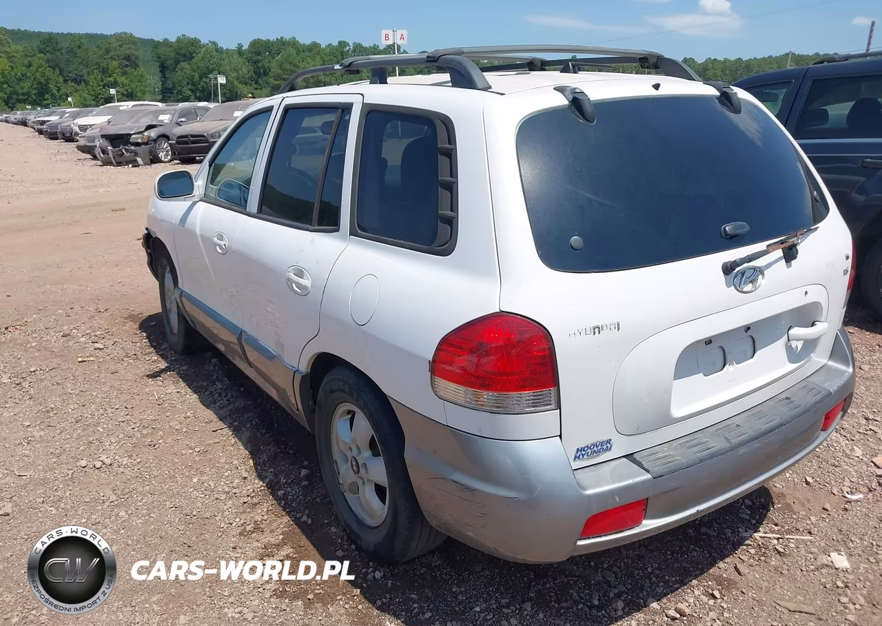 2005 Hyundai Santa Fe Gls VIN:KM8SC13D05U007238 - 3