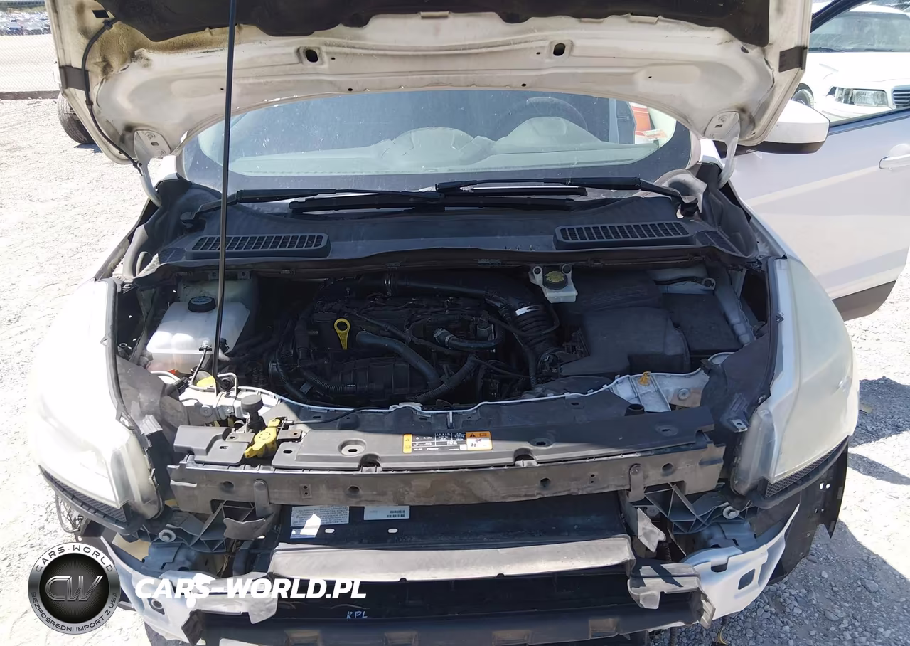 2014 Ford Escape Se VIN:1FMCU0GX5EUD51115 - 10