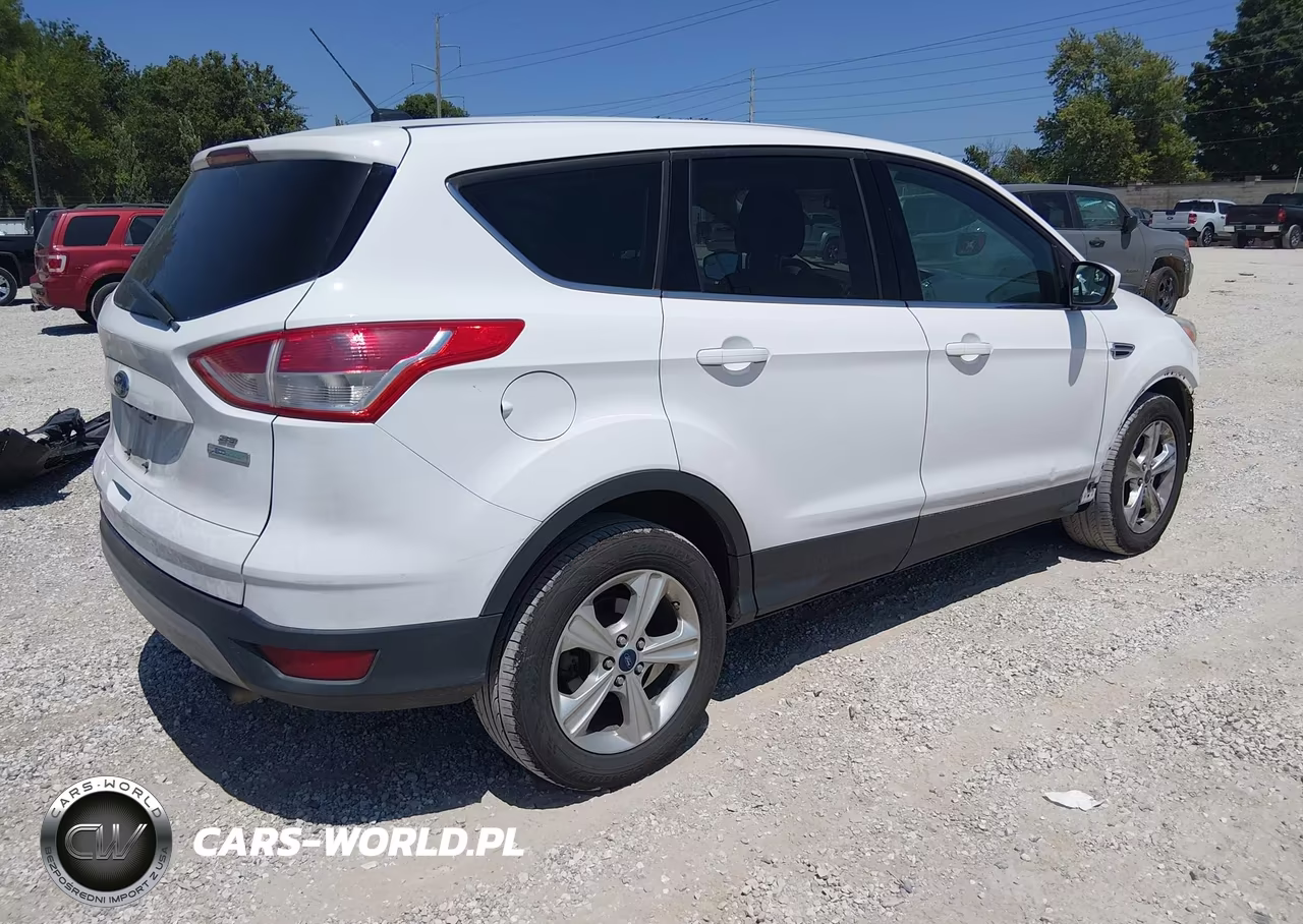 2014 Ford Escape Se VIN:1FMCU0GX5EUD51115 - 4