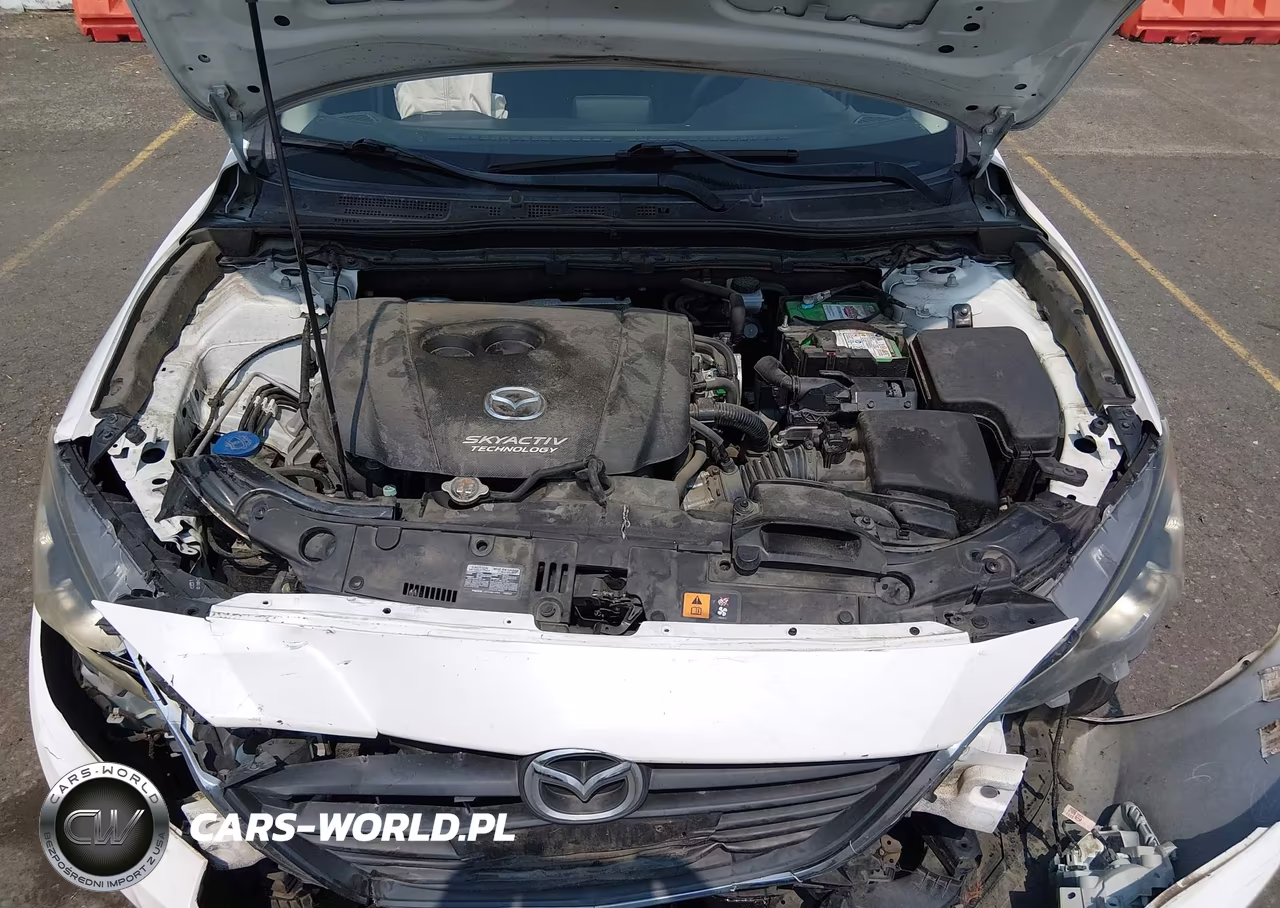 2014 Mazda Mazda3 I Sport VIN:JM1BM1K74E1202211 - 10