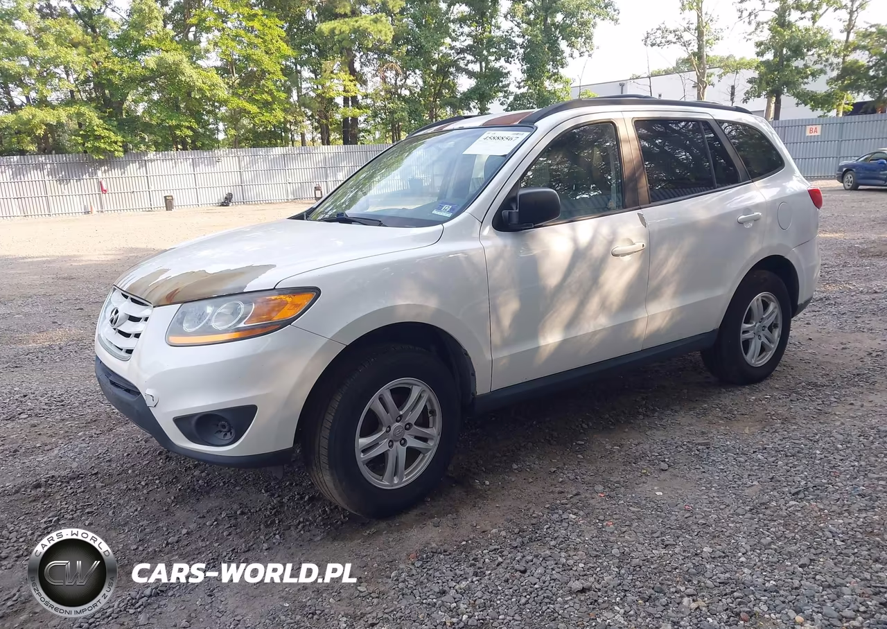 2010 Hyundai Santa Fe Gls VIN:5NMSGDAB5AH367425 - 2