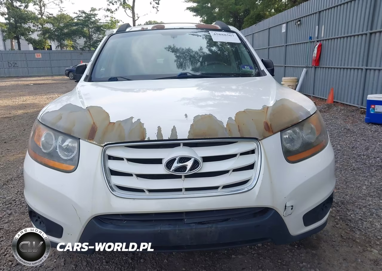 2010 Hyundai Santa Fe Gls VIN:5NMSGDAB5AH367425 - 6