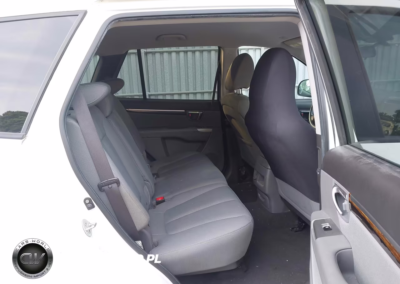2010 Hyundai Santa Fe Gls VIN:5NMSGDAB5AH367425 - 8