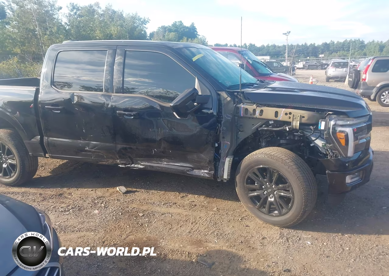 2025 Ford F-150 Platinum VIN:1FTFW7L85SFC72739 - 13