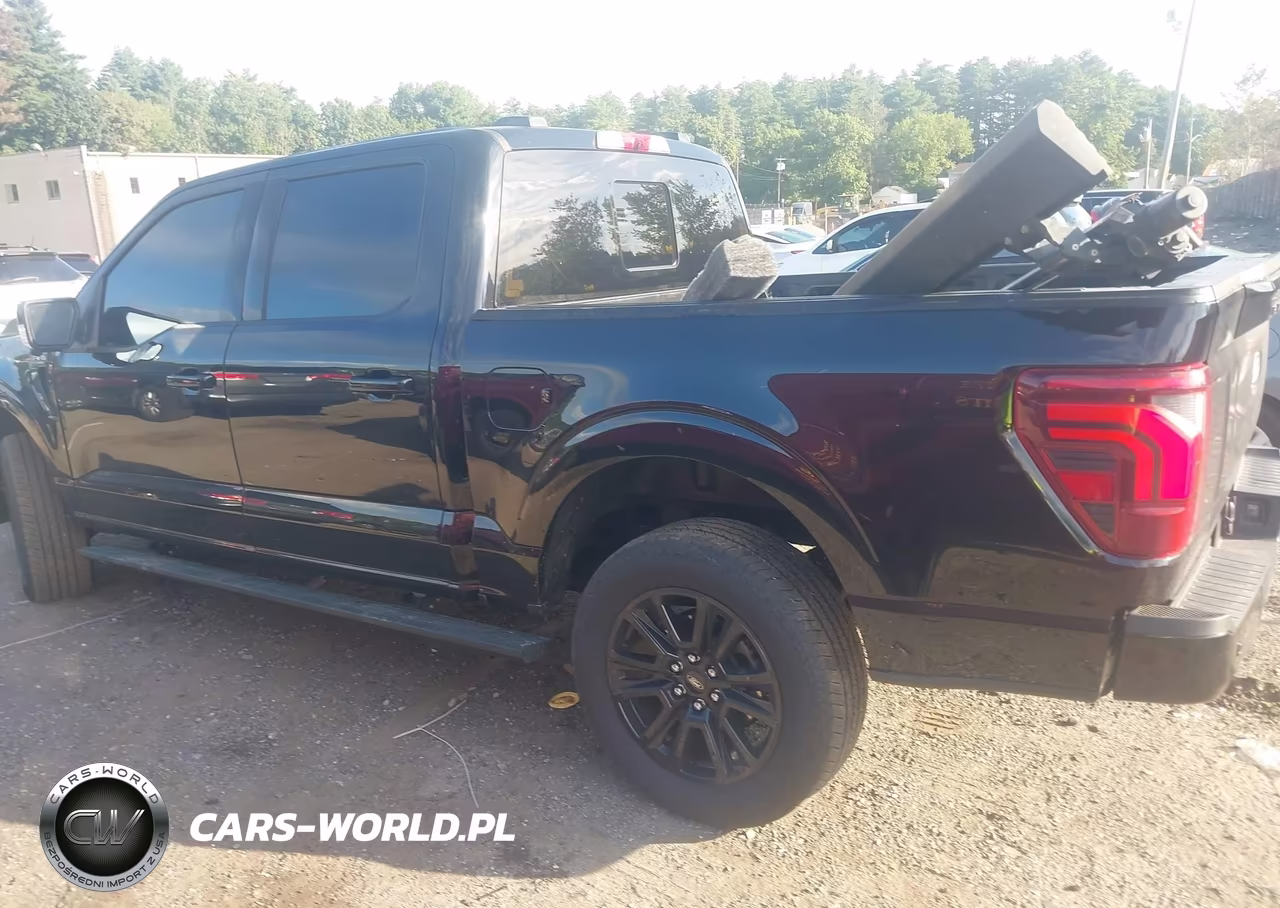 2025 Ford F-150 Platinum VIN:1FTFW7L85SFC72739 - 14