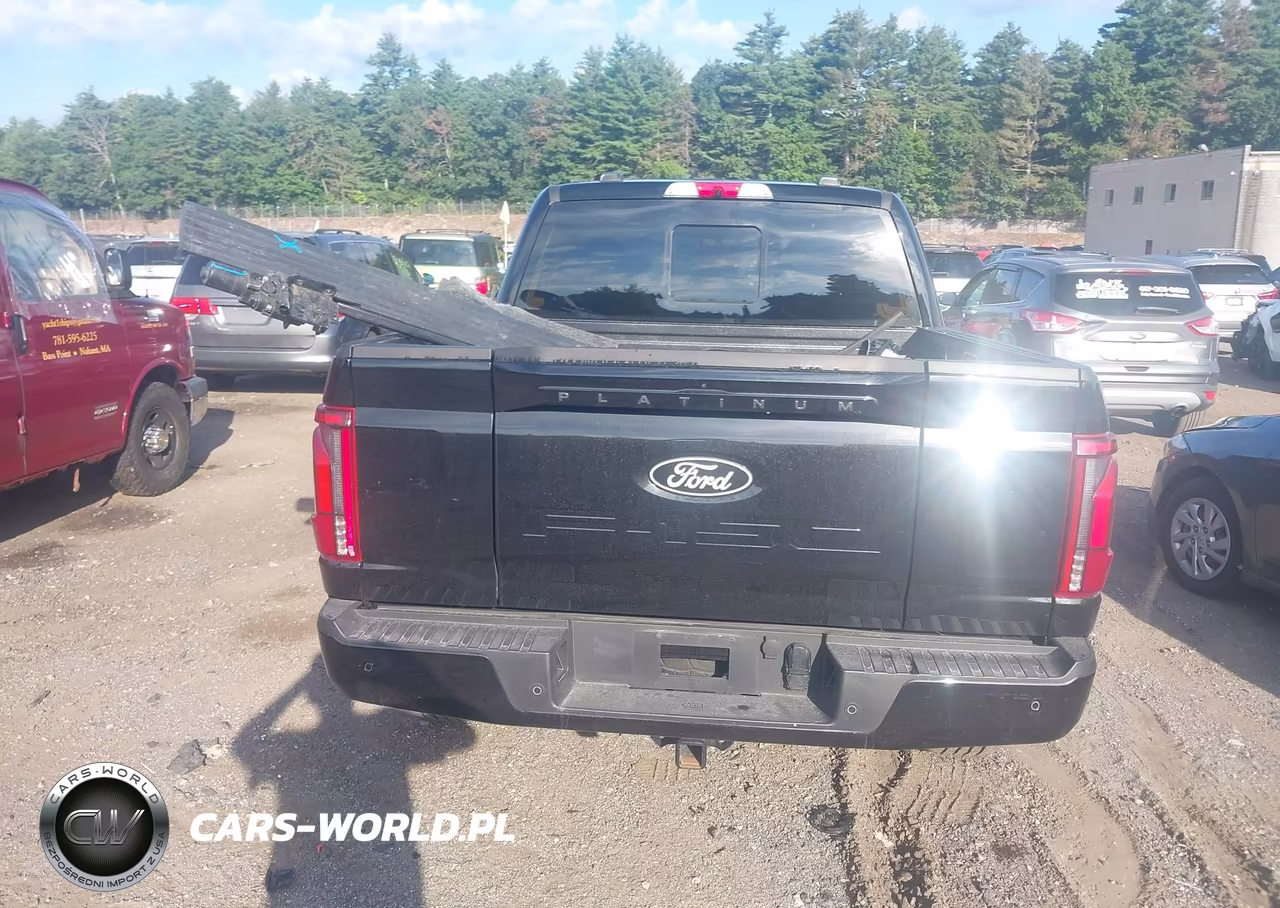 2025 Ford F-150 Platinum VIN:1FTFW7L85SFC72739 - 16