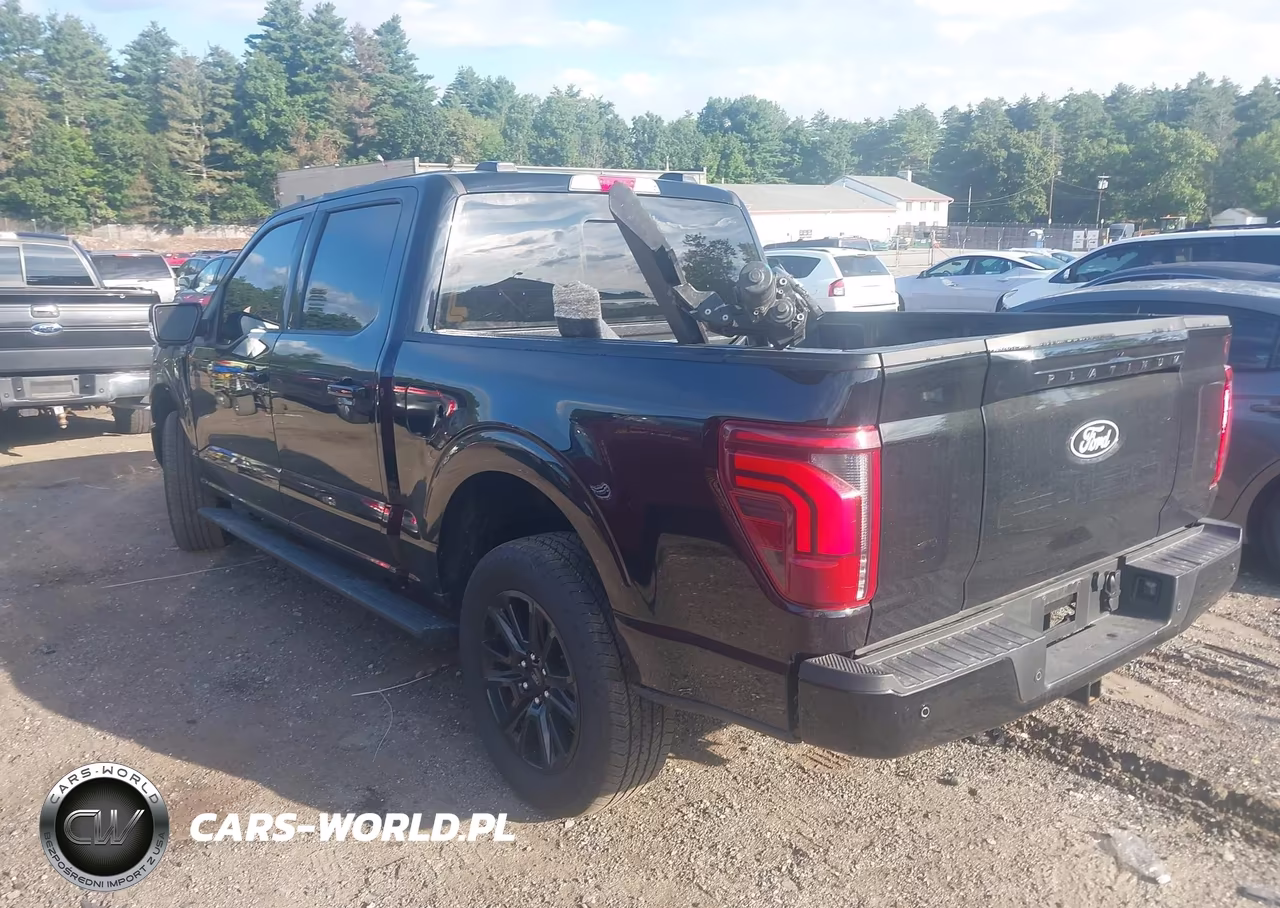 2025 Ford F-150 Platinum VIN:1FTFW7L85SFC72739 - 3