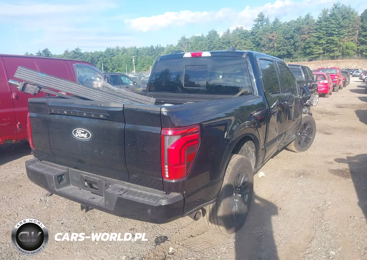 2025 Ford F-150 Platinum VIN:1FTFW7L85SFC72739 - 4