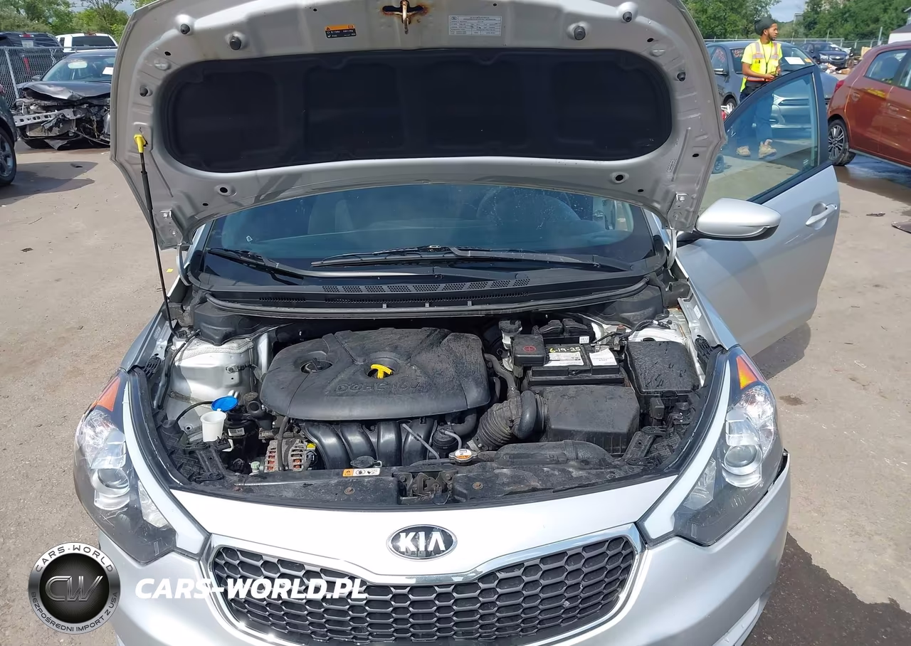 2014 Kia Forte Lx VIN:KNAFK4A61E5149832 - 10