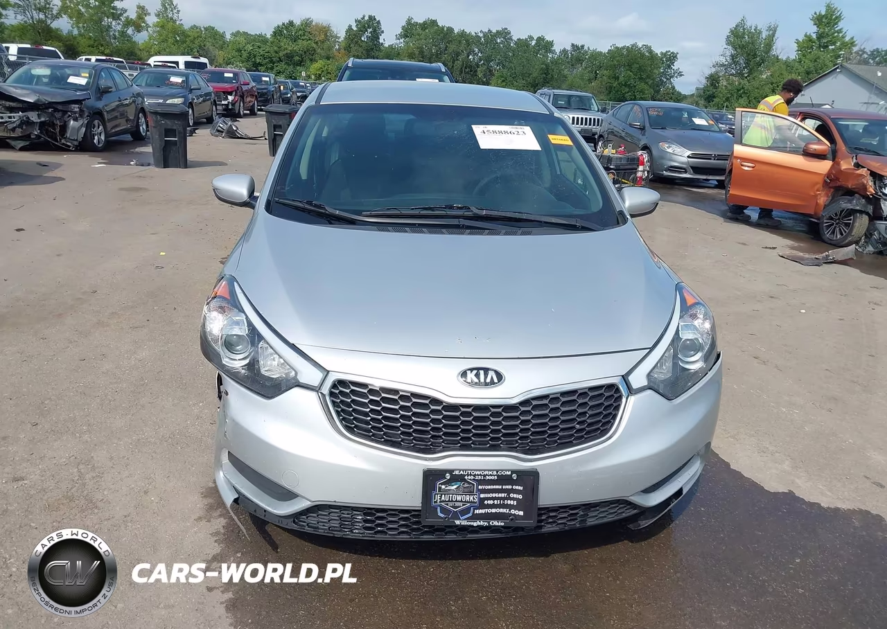 2014 Kia Forte Lx VIN:KNAFK4A61E5149832 - 12