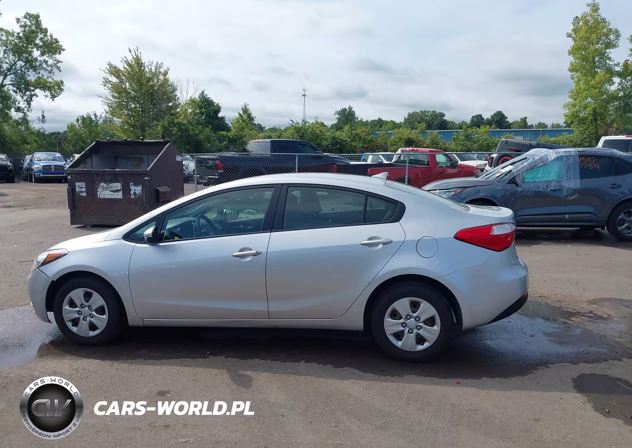 2014 Kia Forte Lx VIN:KNAFK4A61E5149832 - 14