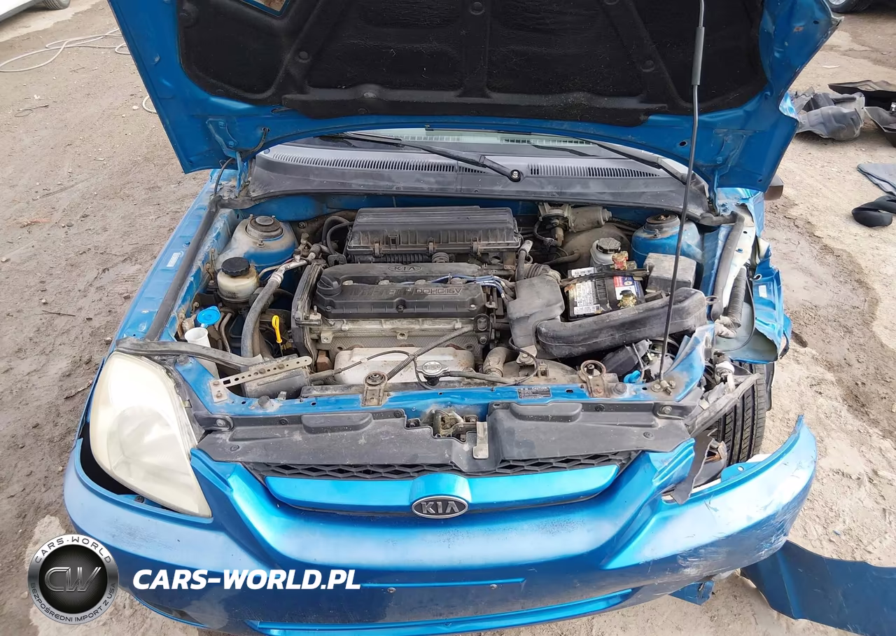 2003 Kia Rio VIN:KNADC125X36228982 - 10