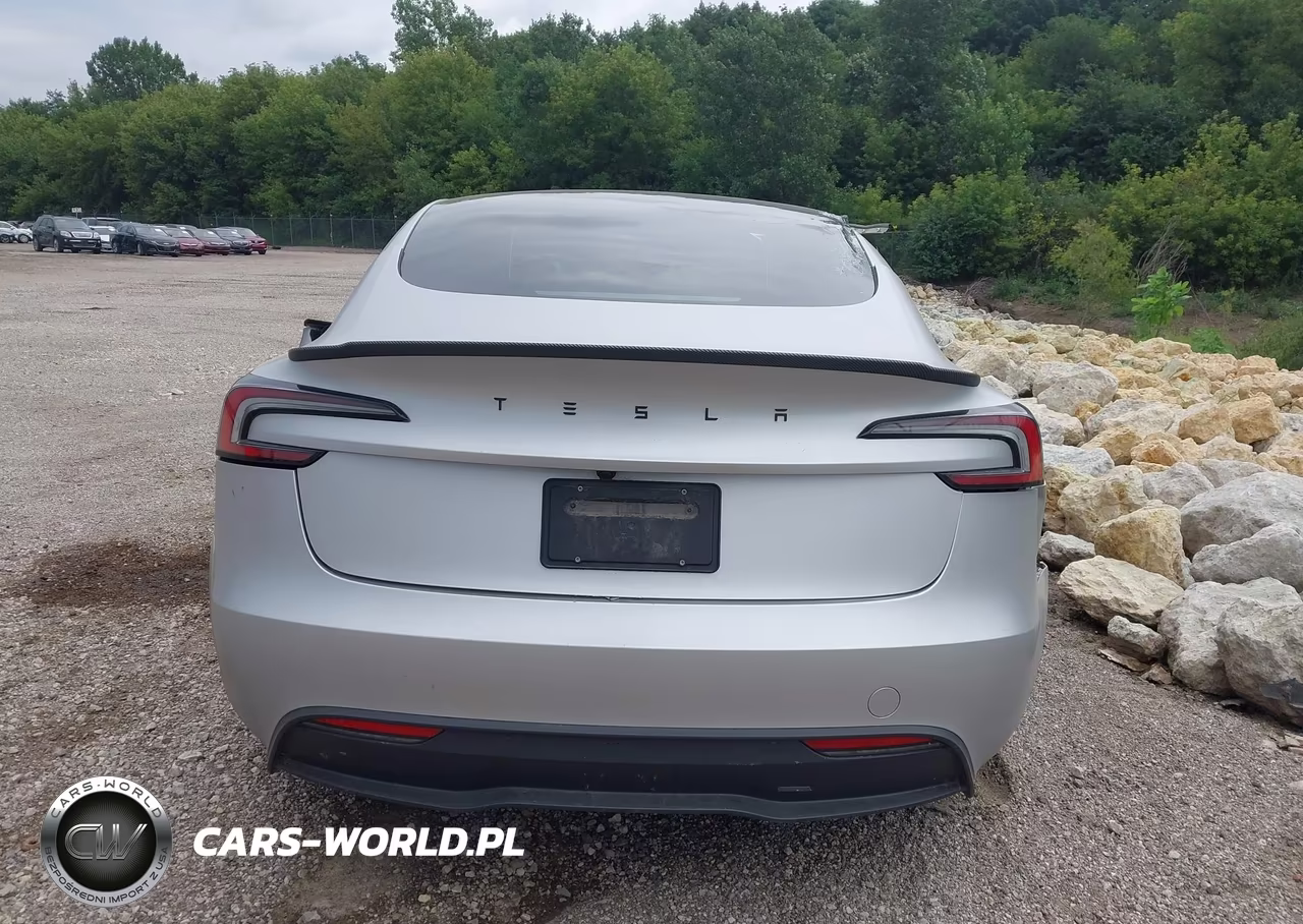 2025 Tesla Model 3 Long Range Rear-Wheel Drive-Standard Rear-Wheel Drive VIN:5YJ3E1EA7SF039968 - 15