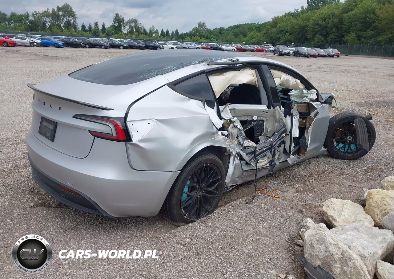 2025 Tesla Model 3 Long Range Rear-Wheel Drive-Standard Rear-Wheel Drive VIN:5YJ3E1EA7SF039968 - 4