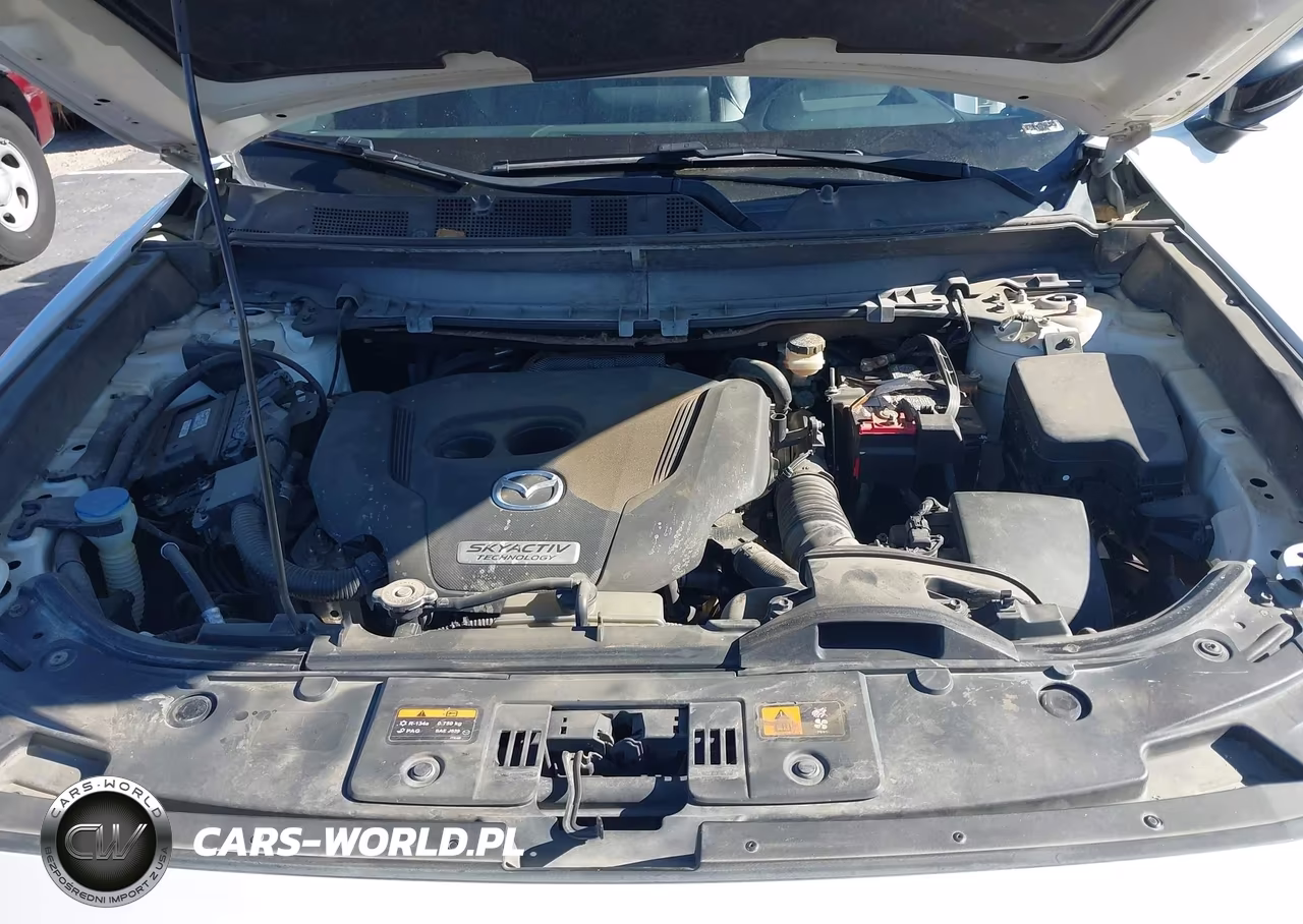 2016 Mazda Cx-9 Grand Touring VIN:JM3TCADY5G0109713 - 10