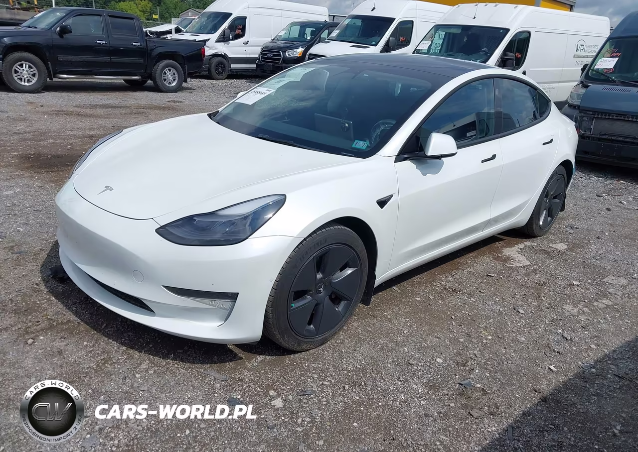 2022 Tesla Model 3 Long Range Dual Motor All-Wheel Drive VIN:5YJ3E1EB8NF178360 - 2