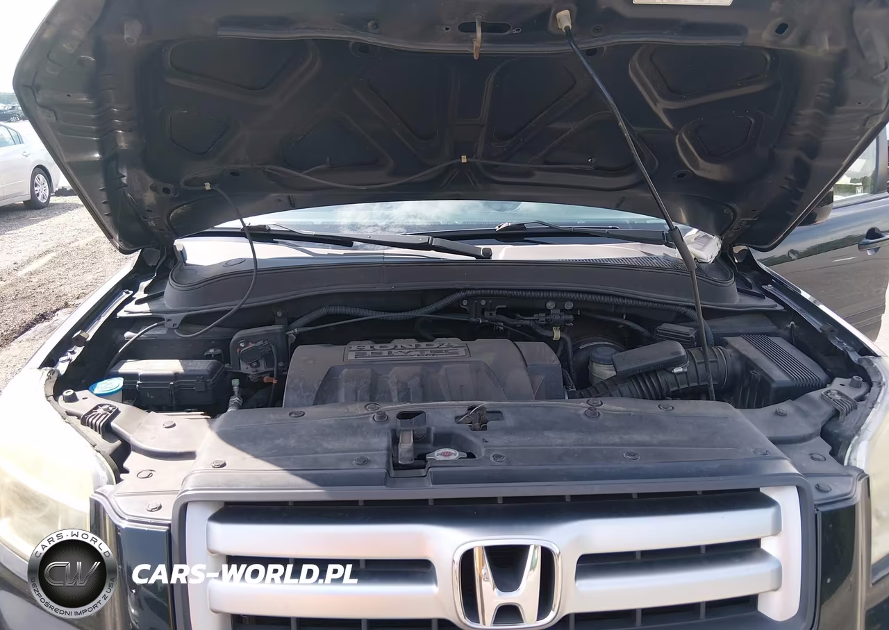2008 Honda Pilot Ex-L VIN:5FNYF28558B029391 - 10