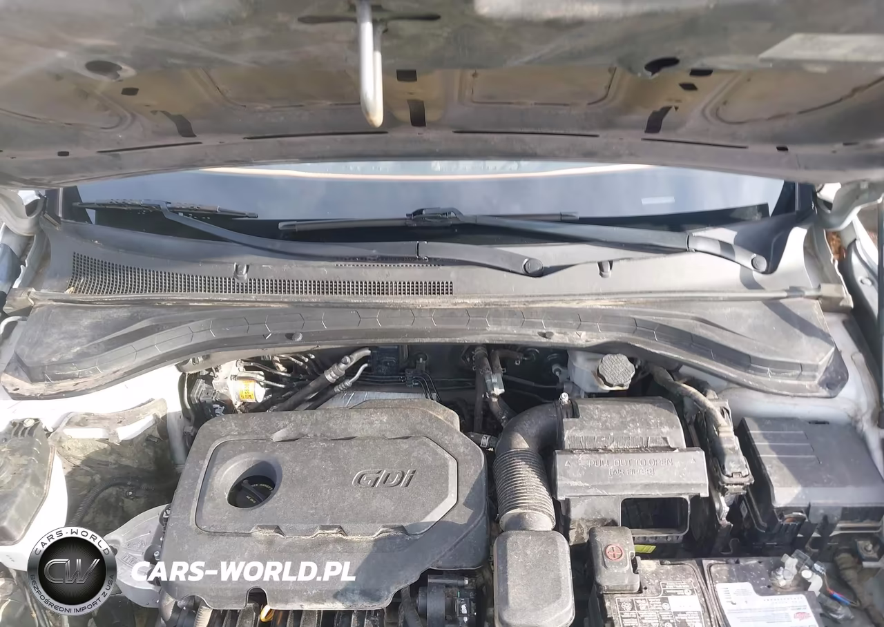 2019 Hyundai Santa Fe Se VIN:5NMS23AD0KH043262 - 10