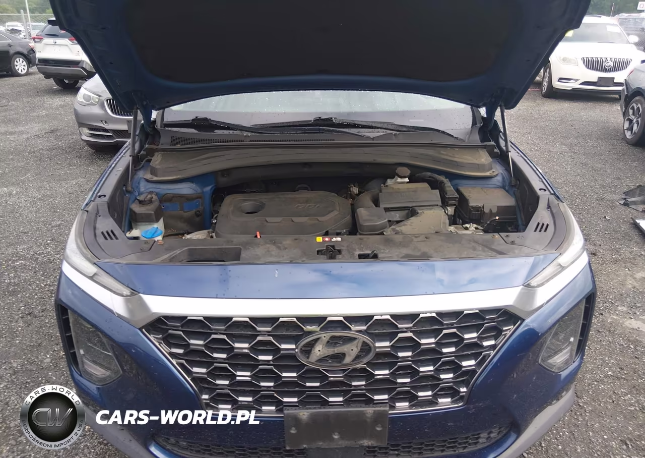 2019 Hyundai Santa Fe Se VIN:5NMS2CAD1KH119622 - 10