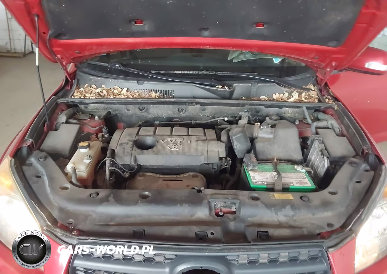 2010 Toyota Rav4 Sport VIN:JTMRF4DV1A5035735 - 10