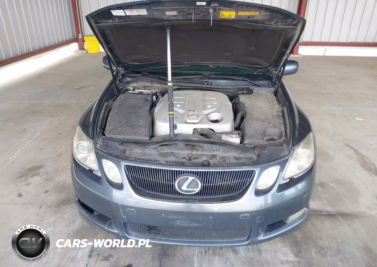 2006 Lexus Gs 300 VIN:JTHBH96S965003391 - 10