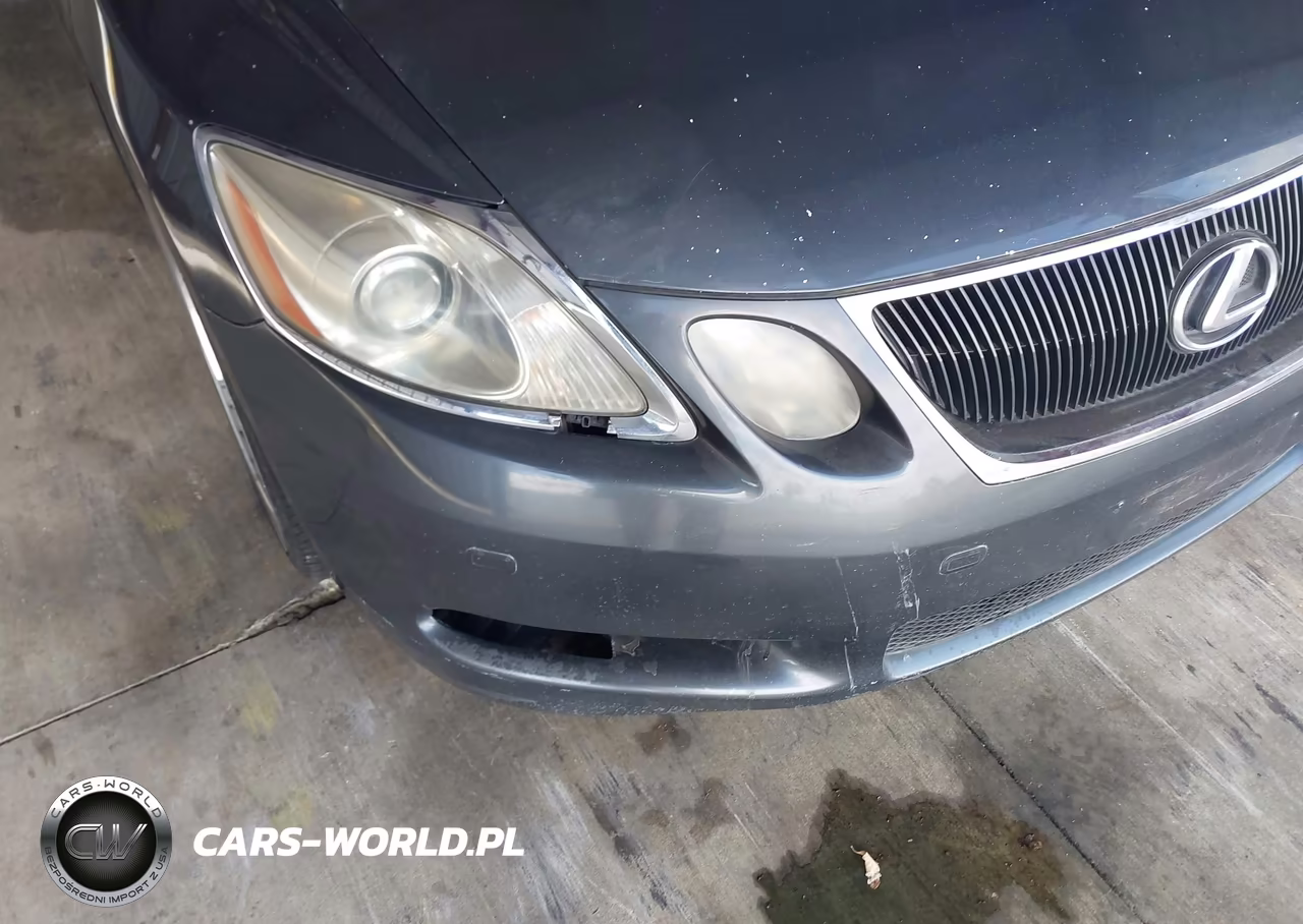 2006 Lexus Gs 300 VIN:JTHBH96S965003391 - 6
