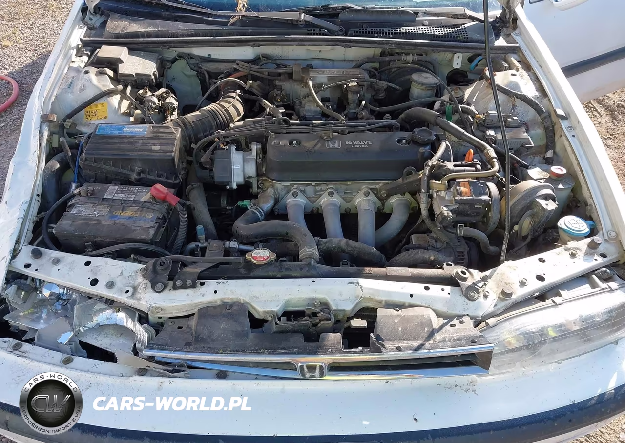 1993 Honda Accord Lx VIN:1HGCB985XPA007586 - 10
