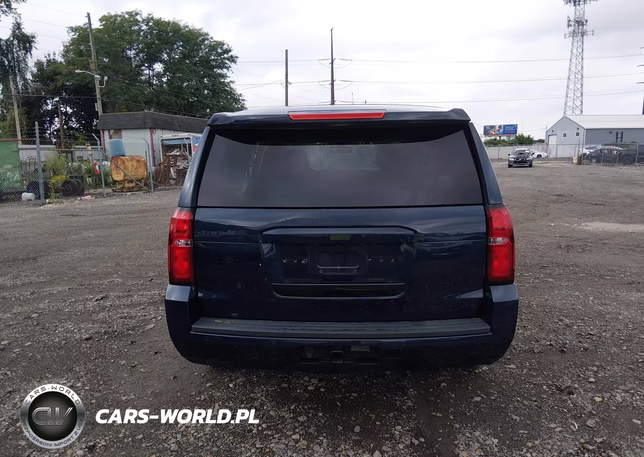 2020 Chevrolet Tahoe 2Wd Commercial Fleet VIN:1GNLCDEC1LR235559 - 17