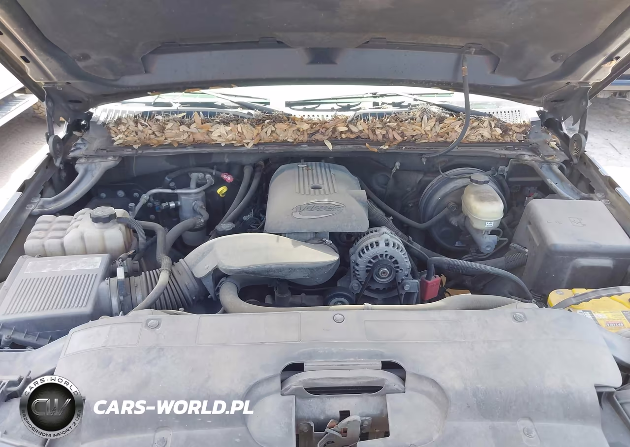 2006 Chevrolet Silverado 1500 Lt3 VIN:1GCEC19T66Z113603 - 10